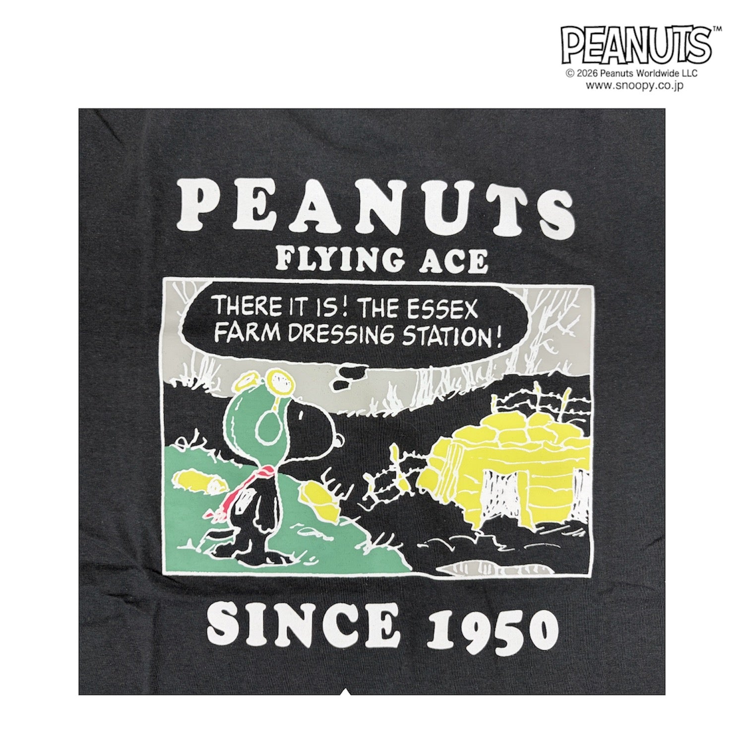 スヌーピー フライング・エース柄 半袖 Tシャツ バックプリント 天竺 メンズ レディース 春 夏 SNOOPY PEANUTS s1162-241sp