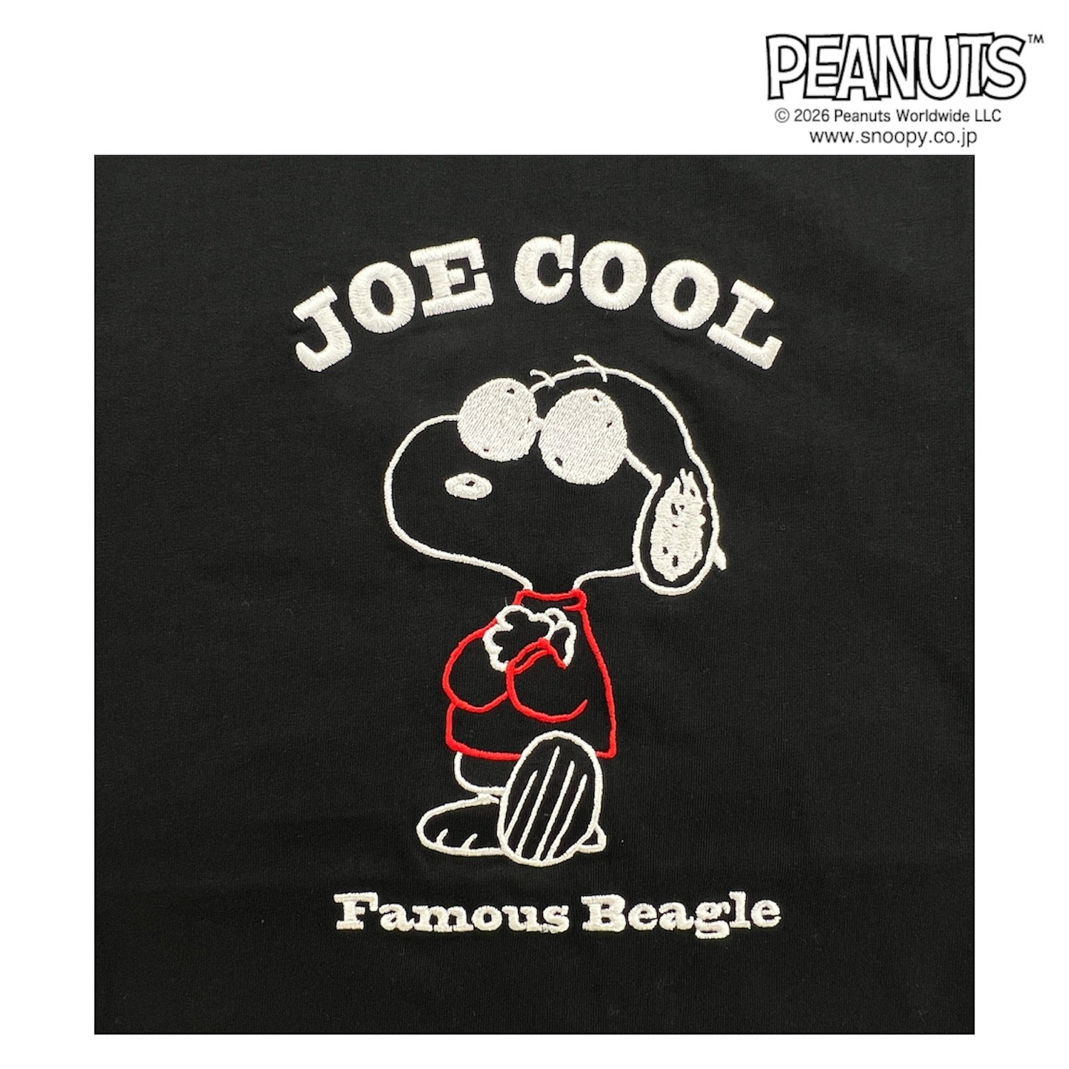 スヌーピー 半袖 Ｔシャツ 天竺 刺繍 メンズ レディース ジョー・クール チャーリー・ブラウン SNOOPY PEANUTS JOE COOL s1162-99
