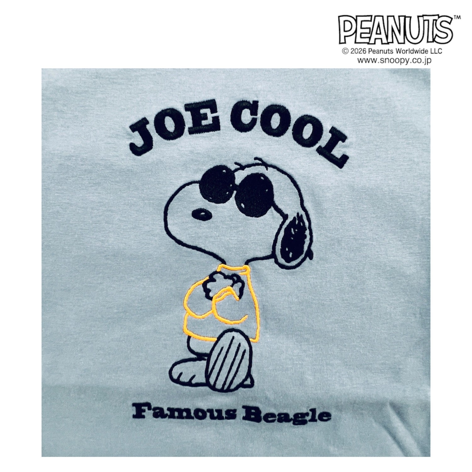 スヌーピー 半袖 Ｔシャツ 天竺 刺繍 メンズ レディース ジョー・クール チャーリー・ブラウン SNOOPY PEANUTS JOE COOL s1162-99