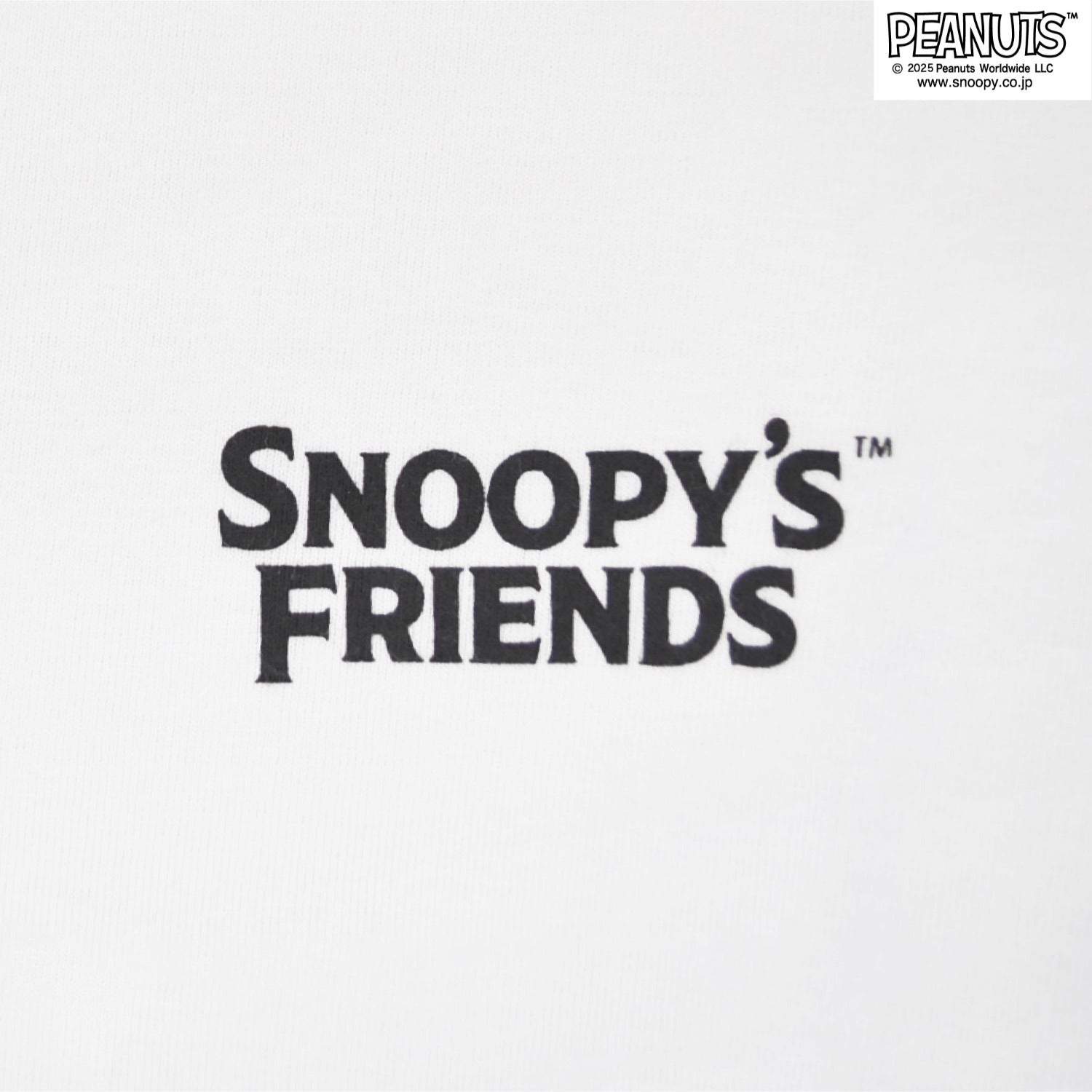 スヌーピー フレンズ ジョークール 袖プリント 長袖 Tシャツ トップス スケートボード柄 秋 SNOOPY PEANUTS s1253-08sp