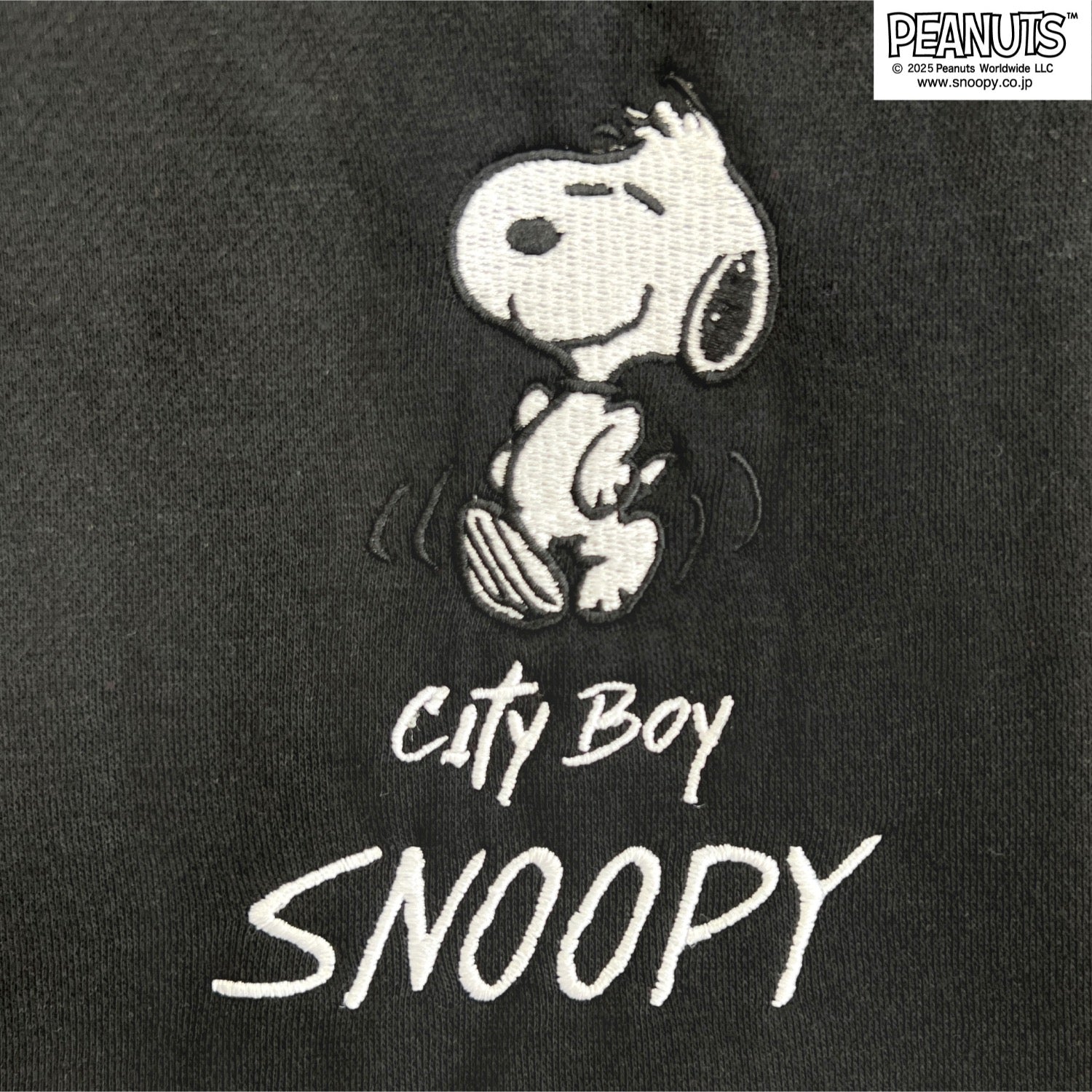 スヌーピー 裏起毛 パーカー プルパーカー 秋冬 SNOOPY PEANUTS s1354-13sp