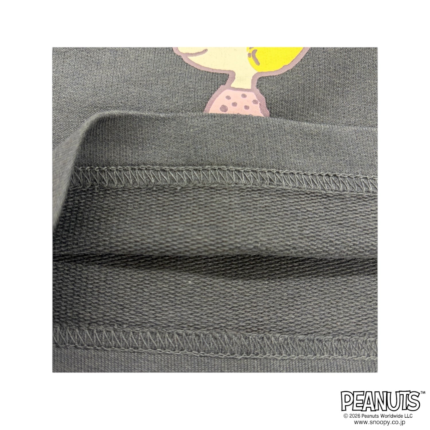 スヌーピー フレンズ WALK柄 プリント 刺繍 ミニ裏毛 ハーフパンツ メンズ レディース 春 夏 SNOOPY PEANUTS s1462-178sp